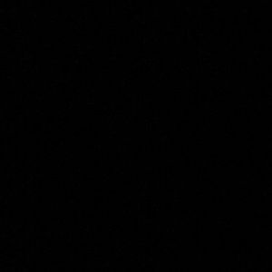 Meet your Posher, Gianna